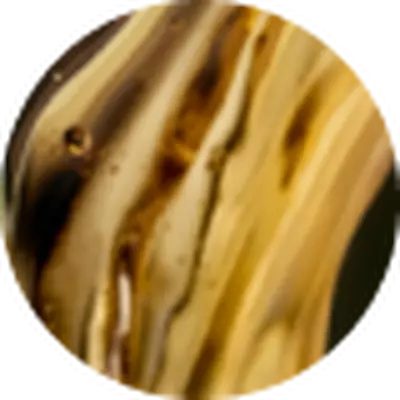 Ingrediente-Chave Absolue Matrix Oil