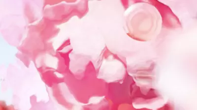 Rosa Ingrediente-Chave do Novo Les Ô Oui Eau de Toilette