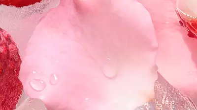 Ingrediente do Ô Oui Mist de Lancôme